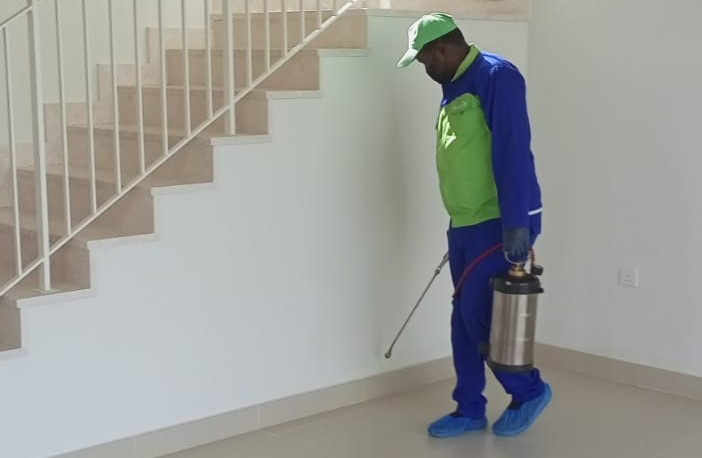 Annual Pest Control Plans: Are They Worth It for Dubai Homes